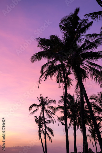 Beautiful outdoor view with silhouette coconut trees at tropical coast  at the purple sunset sky