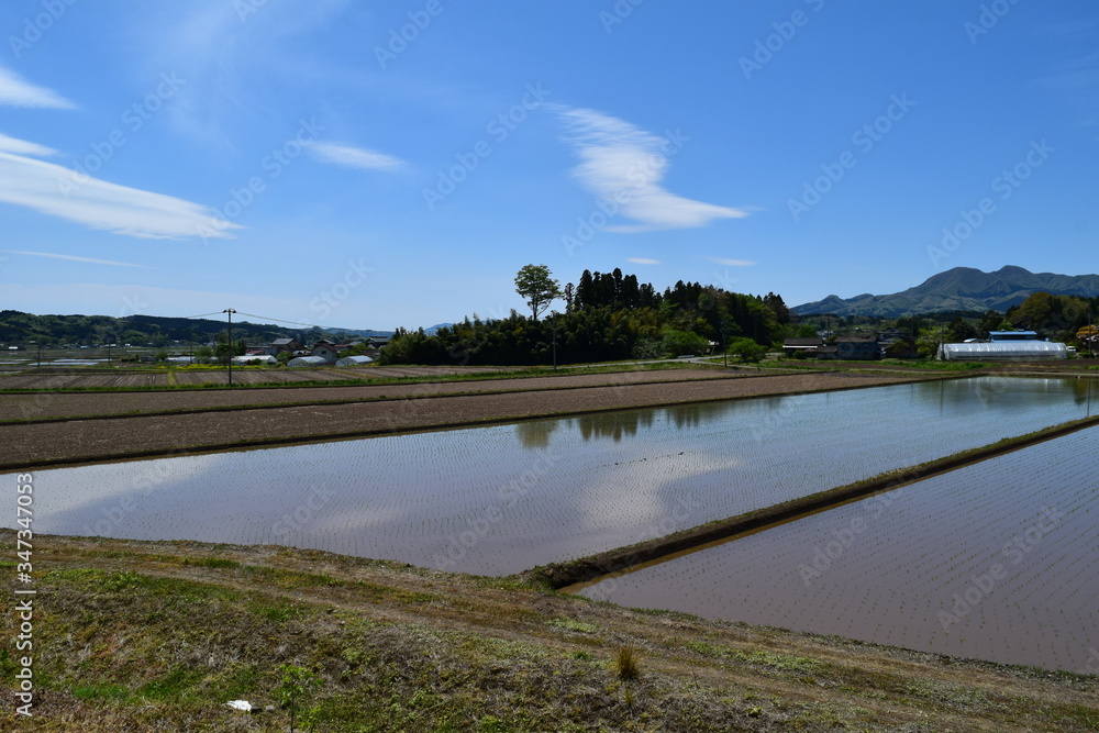 田園風景