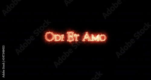 Odi et amo written with fire. Loop photo