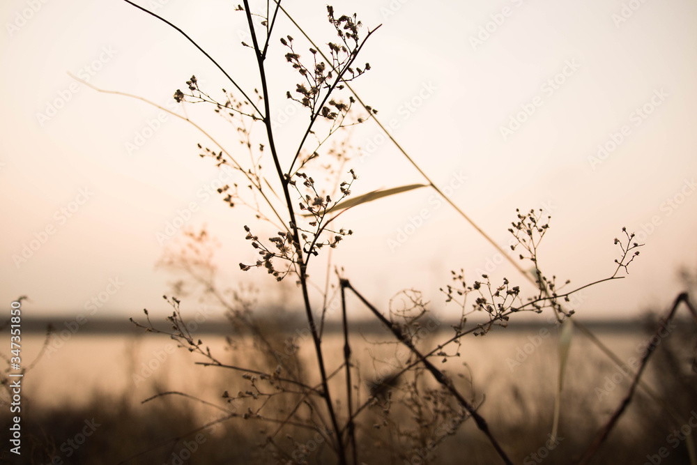 Obraz premium 하늘공원