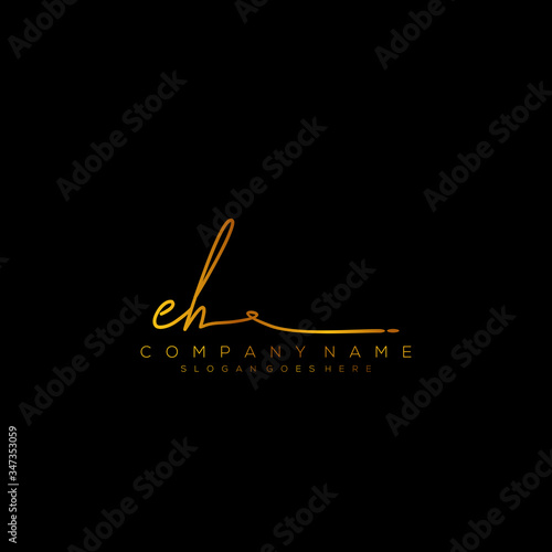 Letter EH Signature Logo Template Vector photo