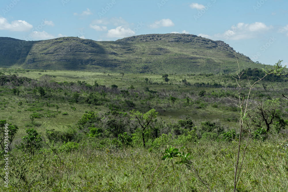 Naklejka premium chapada diamantina