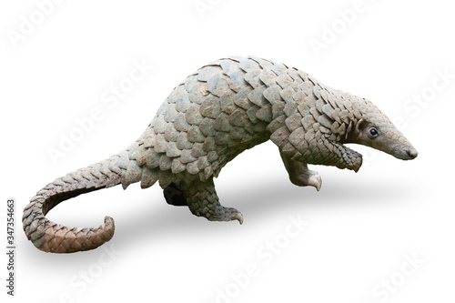 Java Pangolin (manis javanica), on green grass. It was smuggled in Asia. Because it is popularly consumed and its scales are an ingredient in Chinese medicine. Wildlife crime.