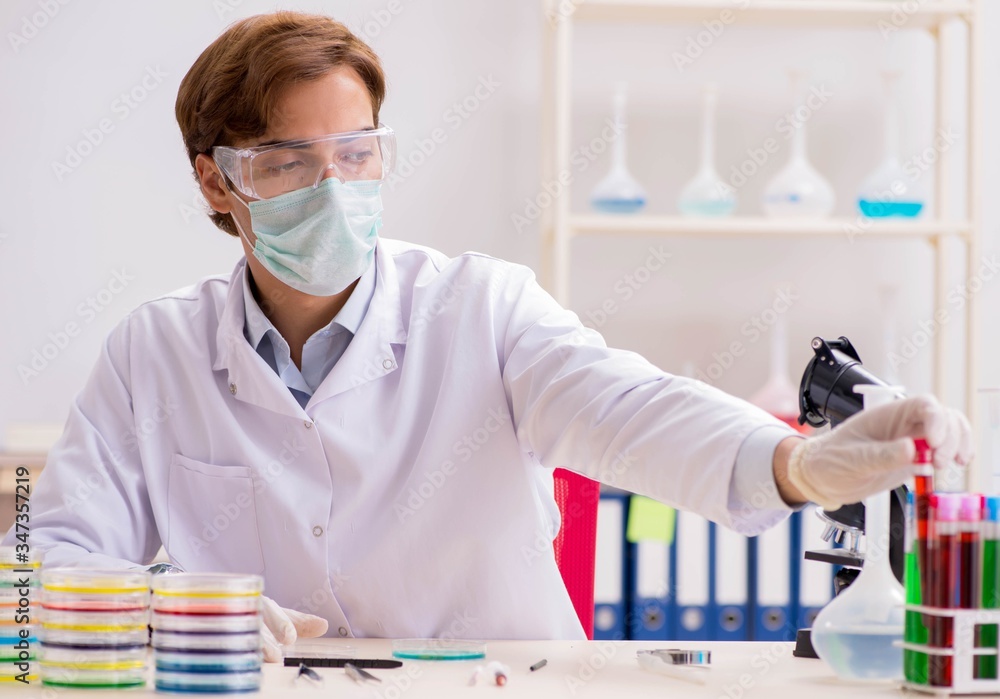 Young chemist working in the lab Young chemist working in the lab