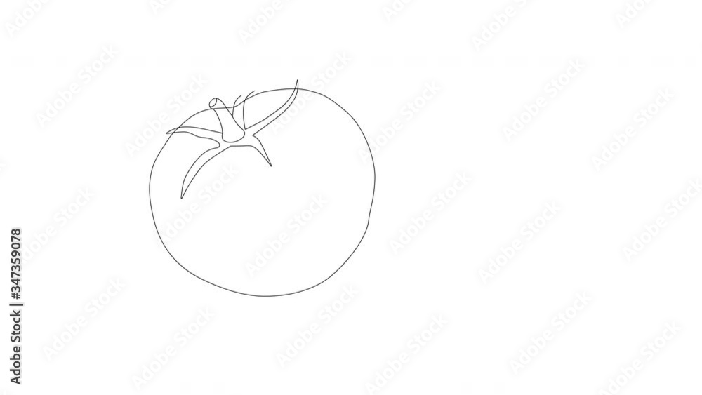Self drawing animation of pink red tomato. Line art. Copy space. White background. Self drawing animation of pink red tomato. Line art. Copy space. White background.