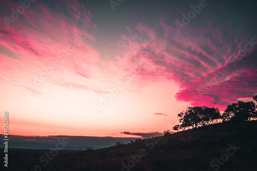Arbol en colina con una puesta de sol con nubes rosadas