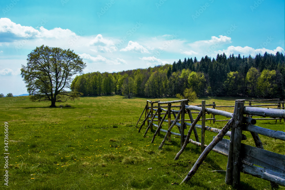 an old wooden fence in the field