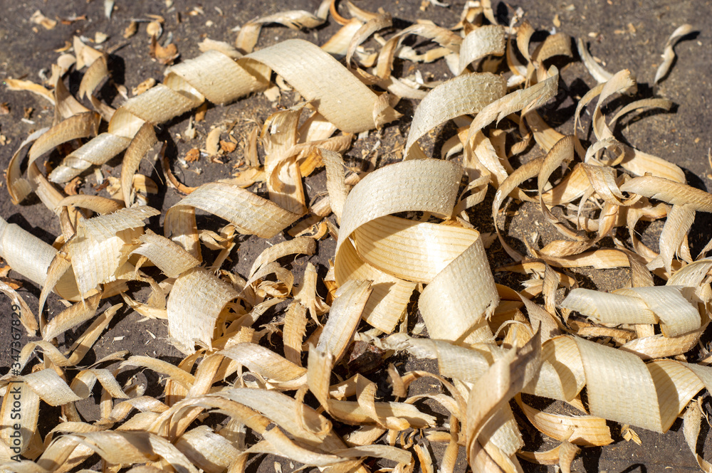Texture of wood shavings. Wood shavings close up Texture of wood shavings. Wood shavings close up