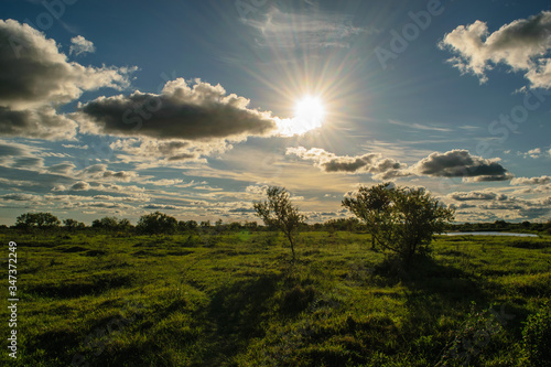 paisaje verde con arboles cielo azul