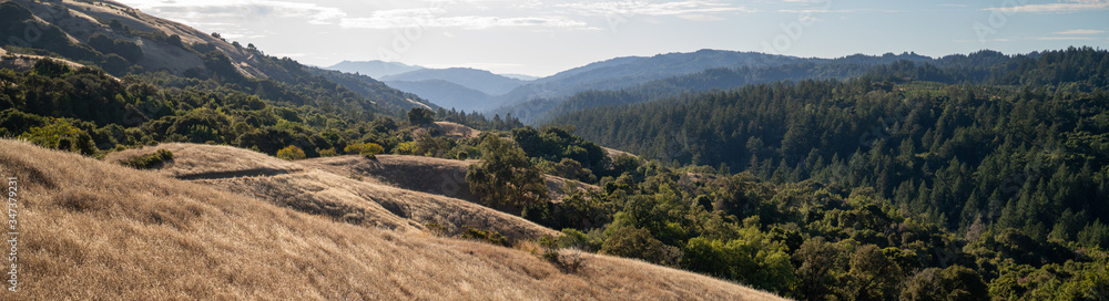 Naklejka premium San Andreas Fault. silicon valley