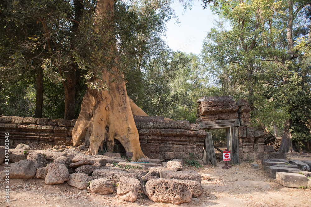 Obraz premium Ta Prohm temple. Cambodia.