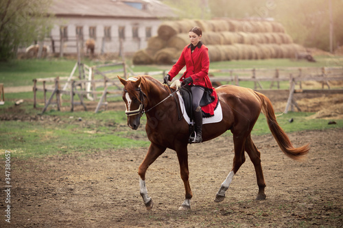 Equestrian sport woman jockey dressage horse outdoors