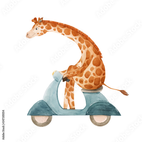 Beautiful vector stock illustration with cute watercolor giraffe on motorbike. Baby hand drawn painting.