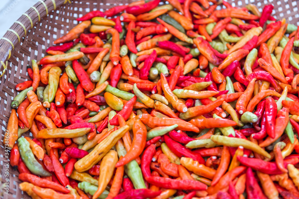 red and green chili peppers red and green chili peppers