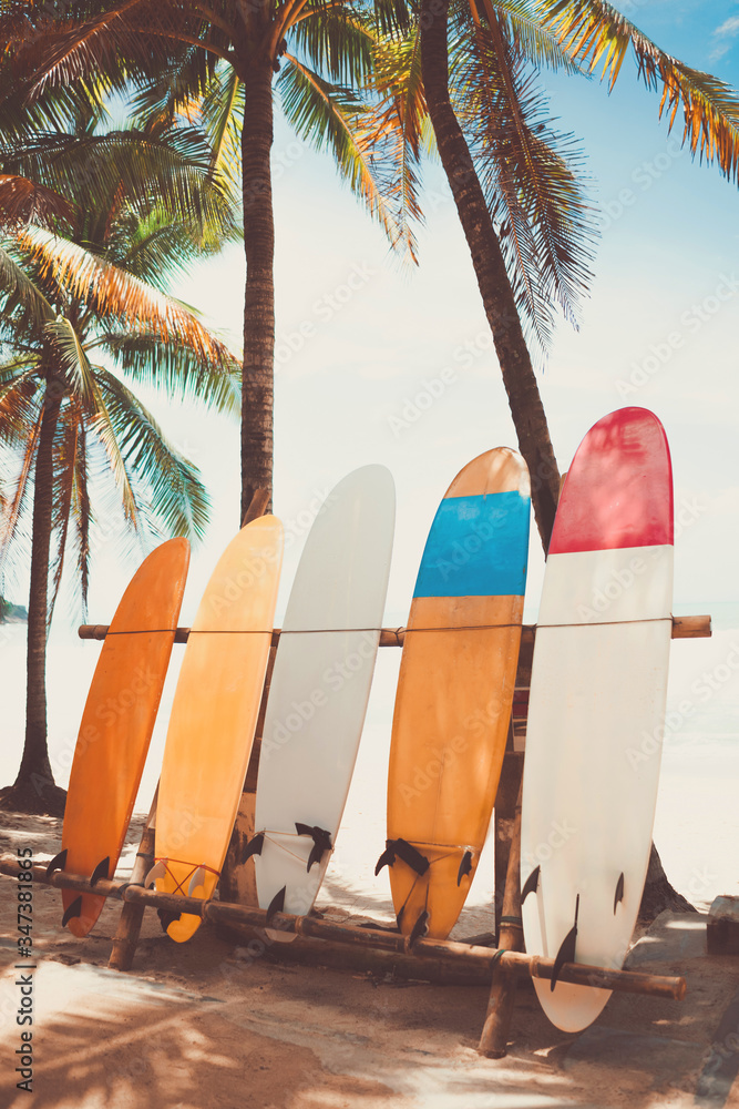 Surfboard and palm tree on beach background. Stock Photo | Adobe Stock