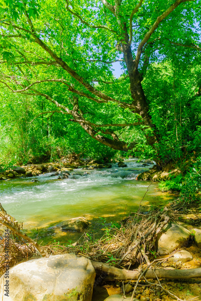 Obraz premium Hasbani River, or Snir Stream