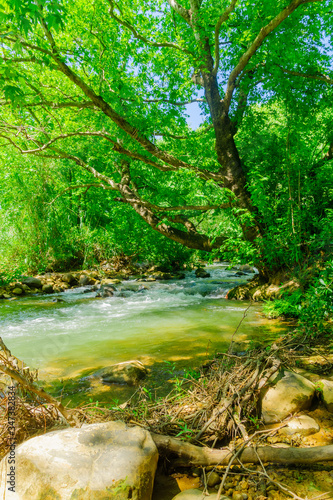 Hasbani River  or Snir Stream