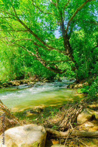 Hasbani River, or Snir Stream