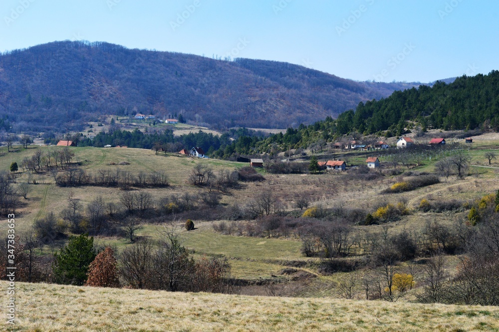 spring landscape of a mountain village