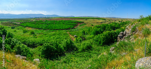 Panoramic landscape of the Snir Stream (Hasbani River) Nature Reserve