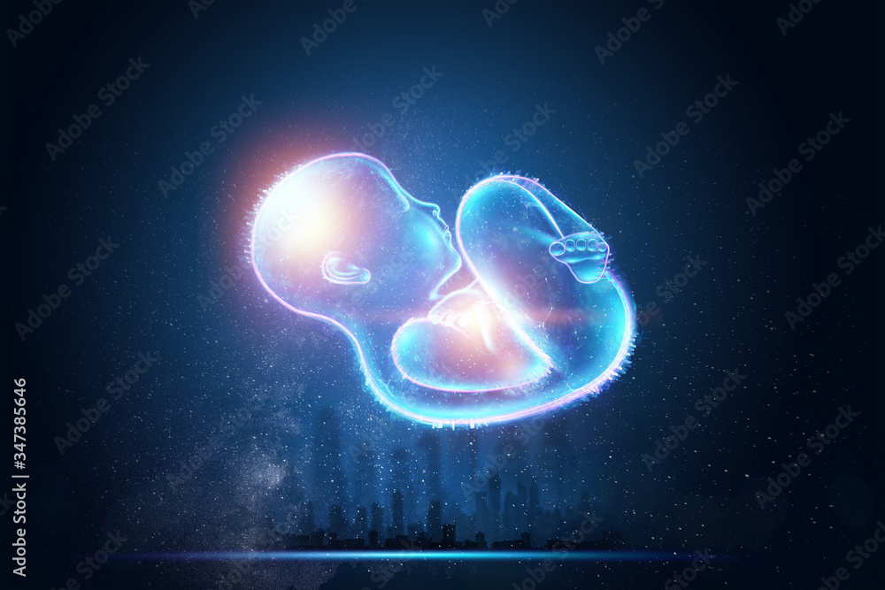 Infant, a child in a fetal position, an embryo, a hologram on a dark background. Pregnancy concept, artificial insemination, copy space. 3D illustration, 3D rendering. Infant, a child in a fetal position, an embryo, a hologram on a dark background. Pregnancy concept, artificial insemination, copy space. 3D illustration, 3D rendering.