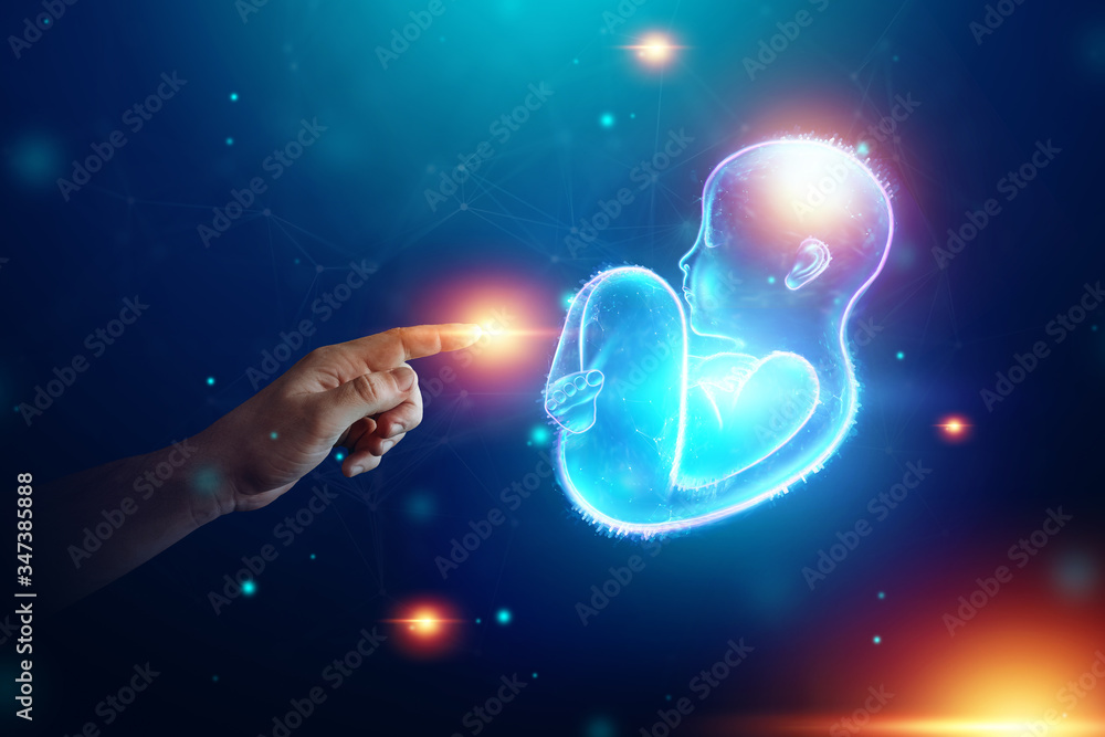Infant, a child in a fetal position, an embryo, a hologram on a dark background. Pregnancy concept, artificial insemination, copy space. Infant, a child in a fetal position, an embryo, a hologram on a dark background. Pregnancy concept, artificial insemination, copy space.