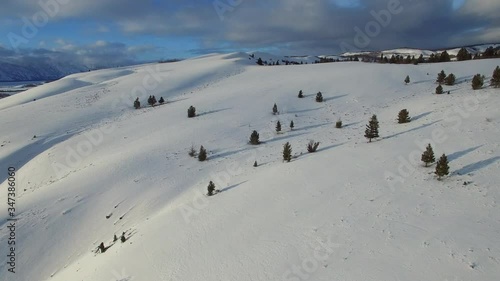 Aerial view of evergreen trees on snowcapped mountain, drone moving forward over idyllic white landscape against sky - Jackson, Wyoming photo