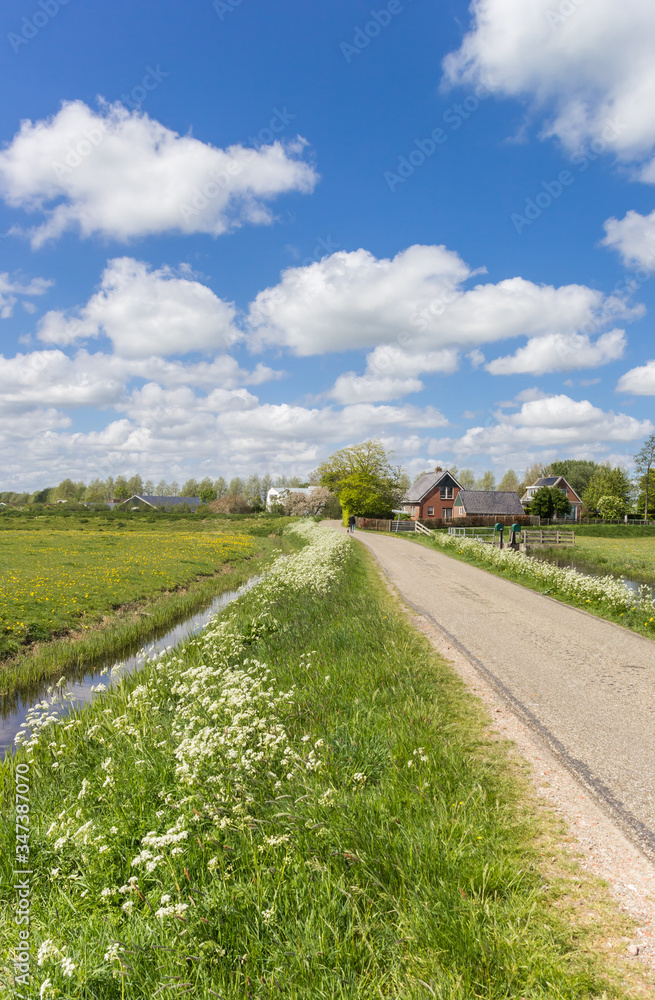 Narrow road leading to Wierumerschouw village in Groningen, Netherlands
