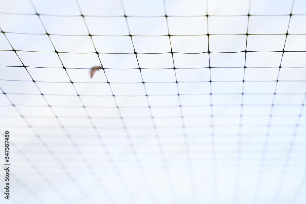 Small feather stuck in the wire mesh roof of the bird breeding farm on blue sky background
