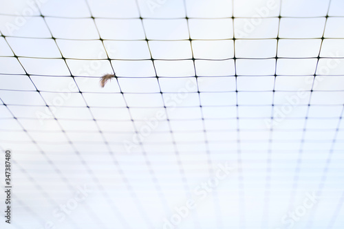 Obraz na płótnie Small feather stuck in the wire mesh roof of the bird breeding farm on blue sky background w salonie