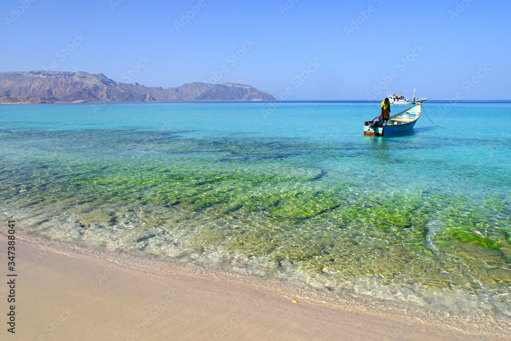 Fototapeta premium The most beautiful beach named Shuab Beach in Socotra island, Yemen.