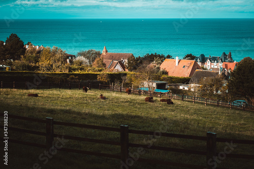 village with cows facing the sea in Europe