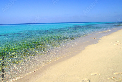 The most beautiful beach named Shuab Beach in Socotra island, Yemen.