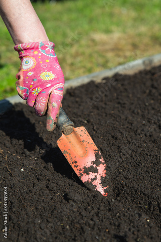 Obraz na płótnie Farmer prepares the soil for planting seeds. Farmer's hand digs the earth with a trowel w salonie