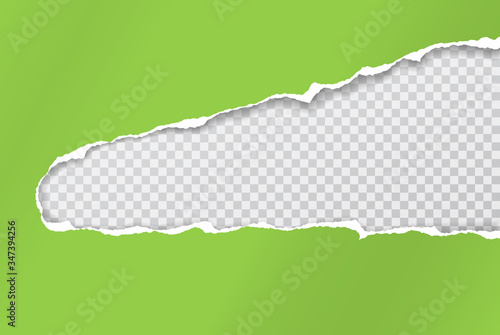 Torn, ripped piece of horizontal green paper with soft shadow is on white squared background for text. Vector illustration