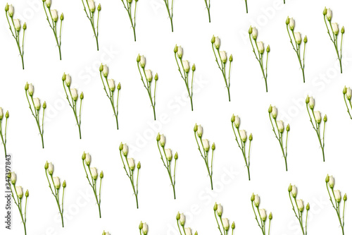Flay lay white eustomia flowers isolated on white background pattern © Maria Tatic