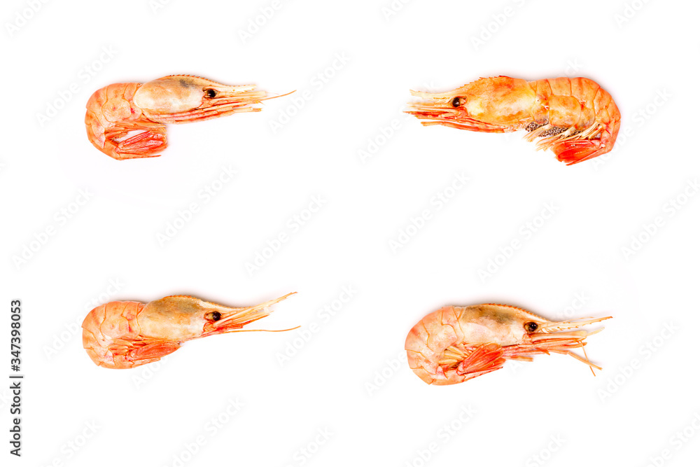 Four Shrimps orange pattern on white background flat lay