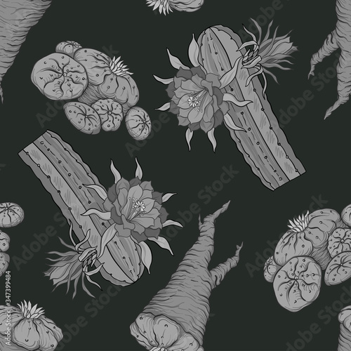 Seamless pattern, background with miraculous, hallucinogenic plants in botanical style in monochrome gray color. Vector illustration