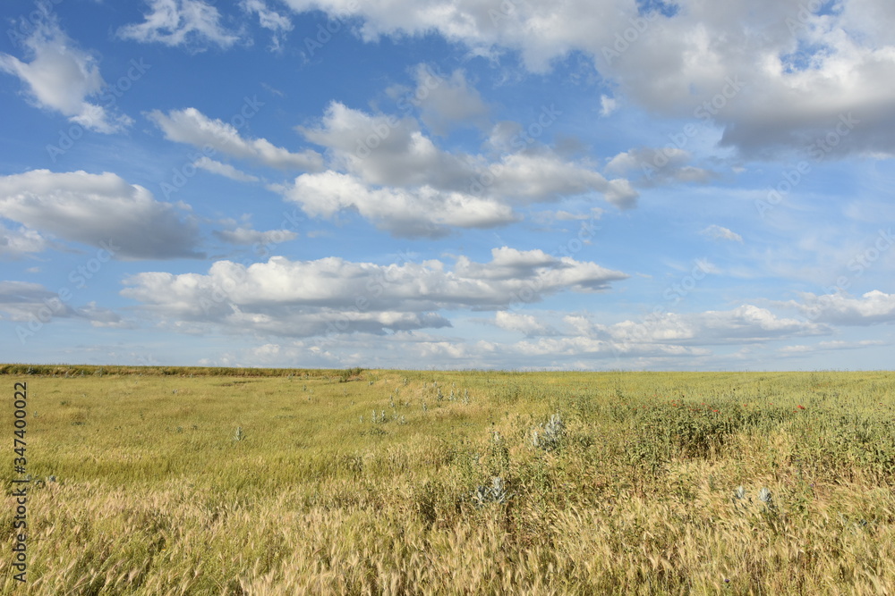 cielo y campo