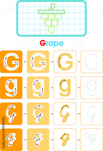 Alphabet G learning letter set practice with grape for kids worksheet write isolated background. Vector illustration