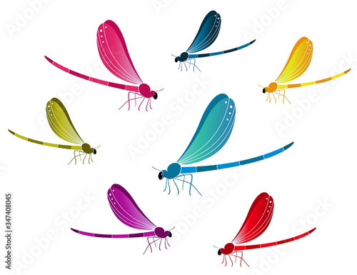 Set of colorful dragonflies on a white background