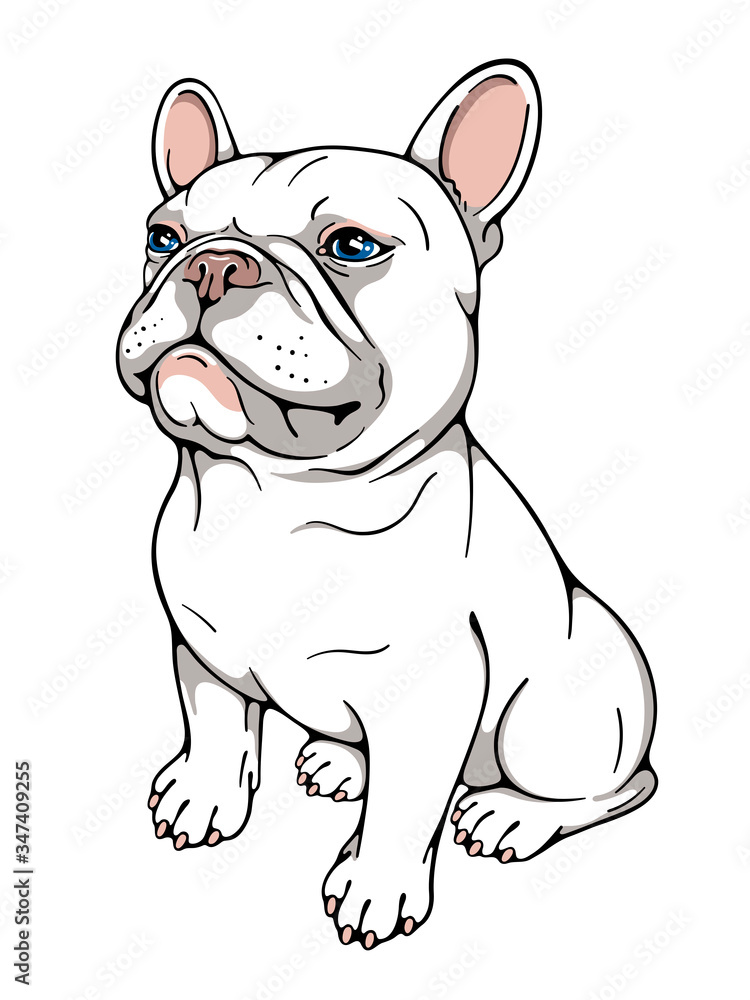 Cute cartoon french bulldog. Vector illustration Stock Vector | Adobe Stock