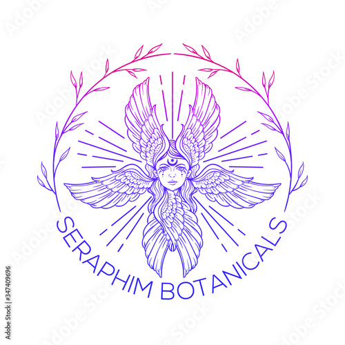 botanical seraphim, hand drawing 