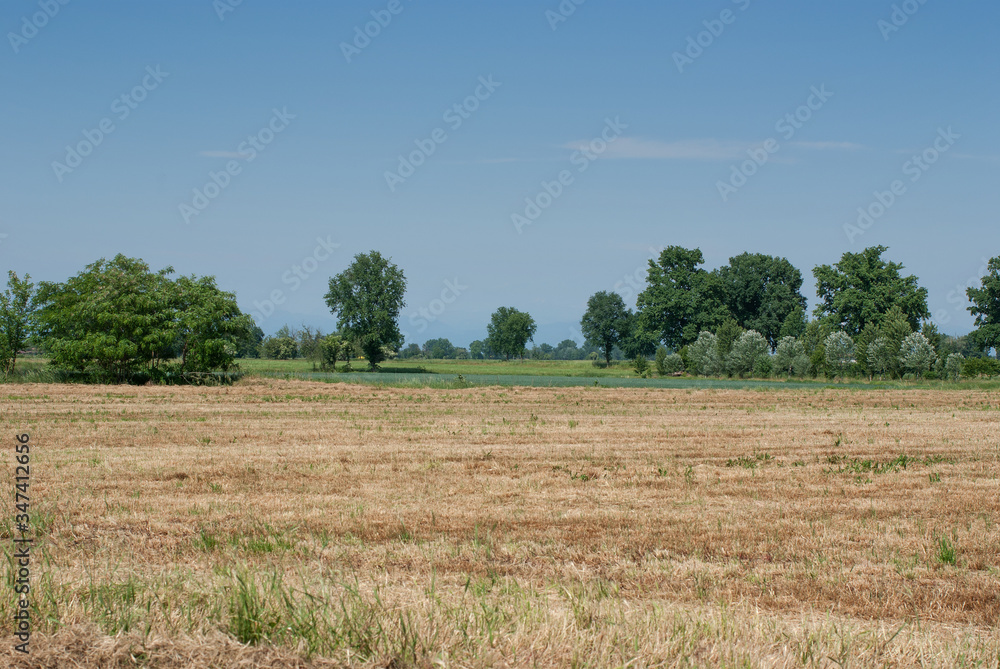 terreni agricoli in attesa di lavorazione e semina