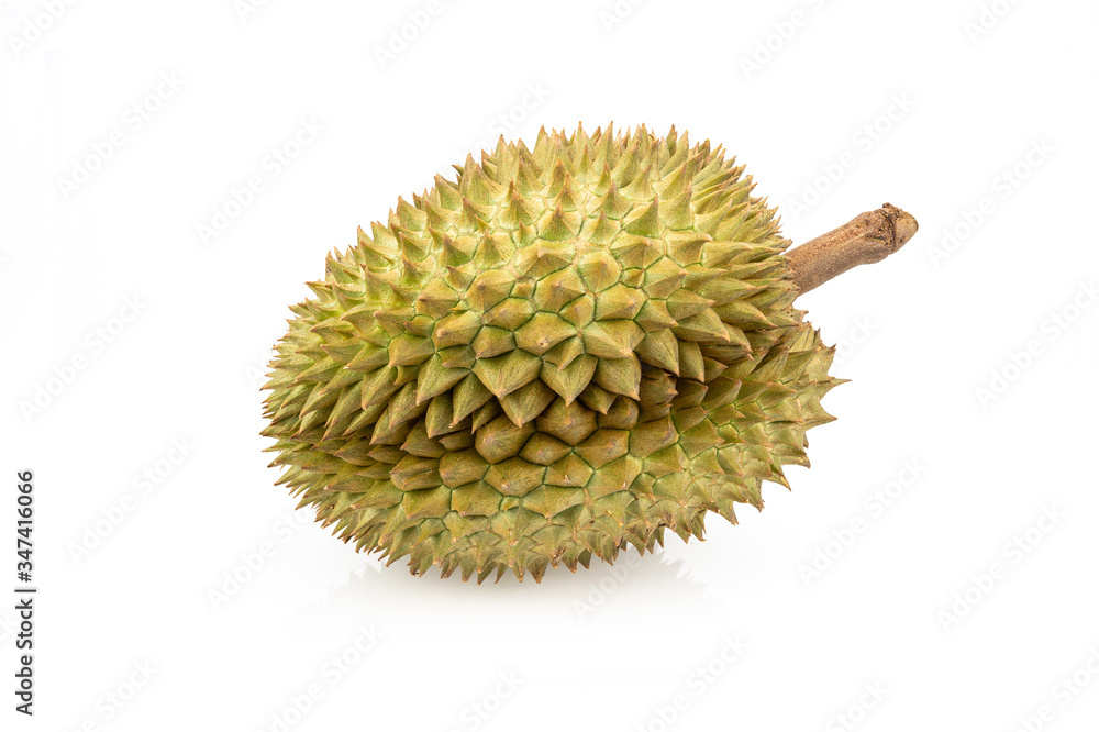 Durian on isolated white background, king of fruit Thailand Durian on isolated white background, king of fruit Thailand