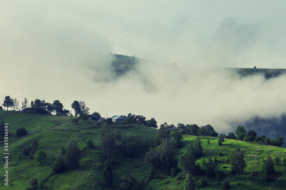 View of foggy summer day in mountains