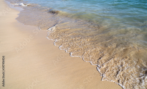 Sandy coast near the sea