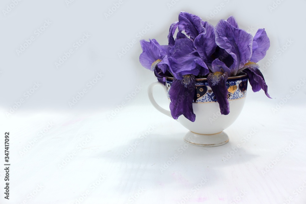 Blue flowers in a white porcelain cup with a blue-gold engraving. On a white background, a porcelain cup with a blue iris flower.