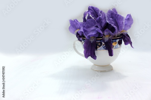Obraz na płótnie Blue flowers in a white porcelain cup with a blue-gold engraving. On a white background, a porcelain cup with a blue iris flower. w salonie