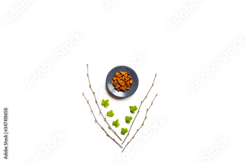 chaga mushroom. composition of small dry pieces of birch tree fungus chaga in a round plate and birch twigs and lcurrant eaves isolated on a white background. concept of alternative natural medicine photo